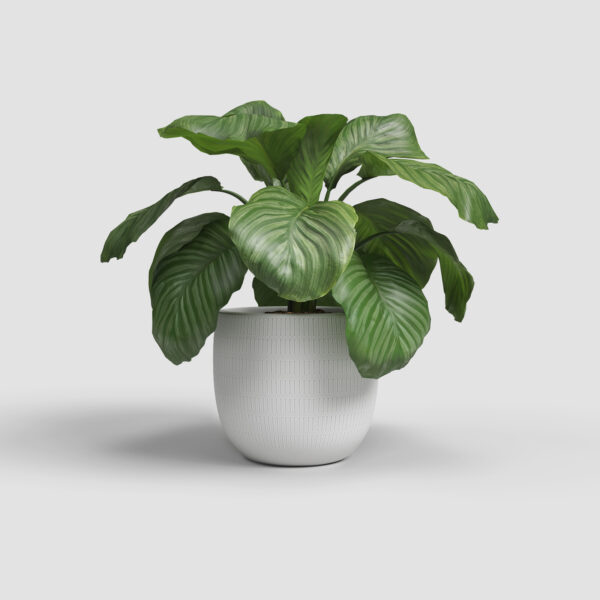 CACHE-POT AURA - Image 4