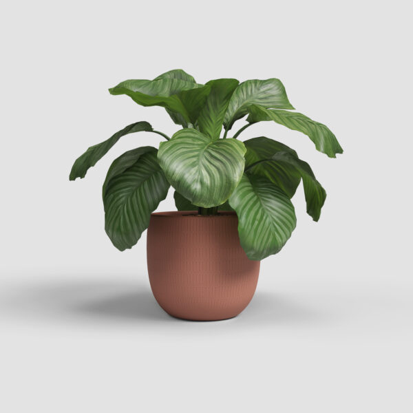 CACHE-POT AURA - Image 6