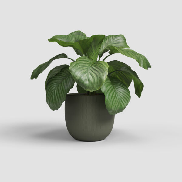 CACHE-POT AURA - Image 2