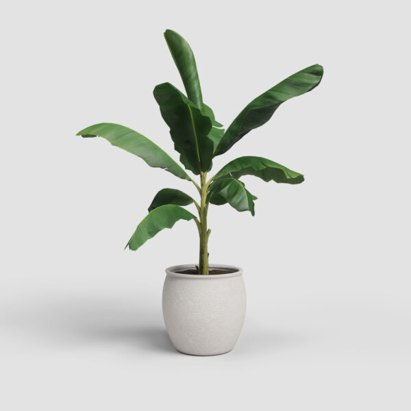 CACHE-POT ARTEMIS - Image 4