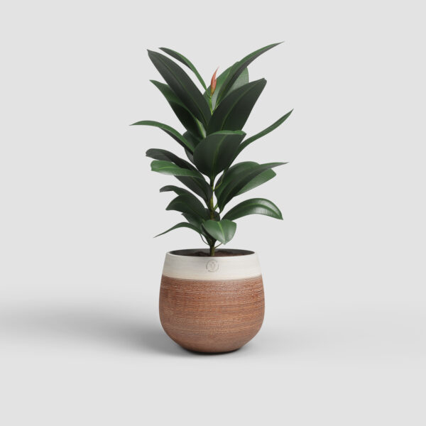CACHE-POT ANTHEIA - Image 2