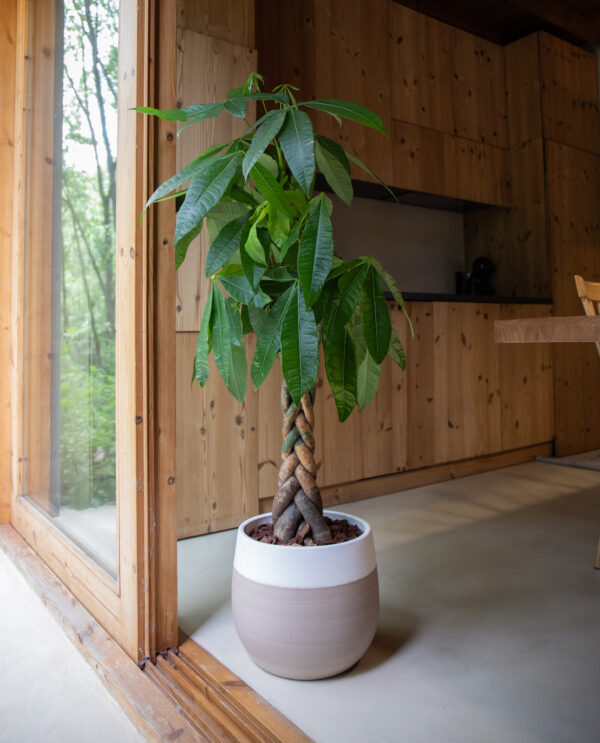 CACHE-POT ANTHEIA - Image 8