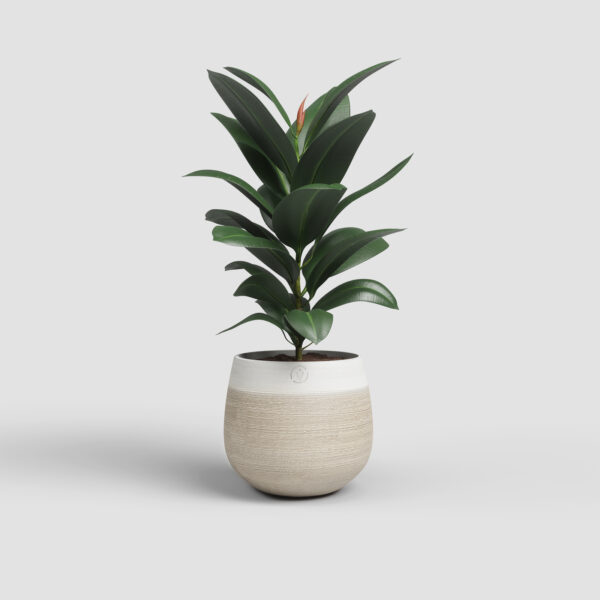 CACHE-POT ANTHEIA - Image 10