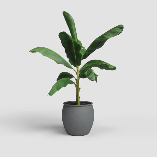 CACHE-POT ARTEMIS - Image 2