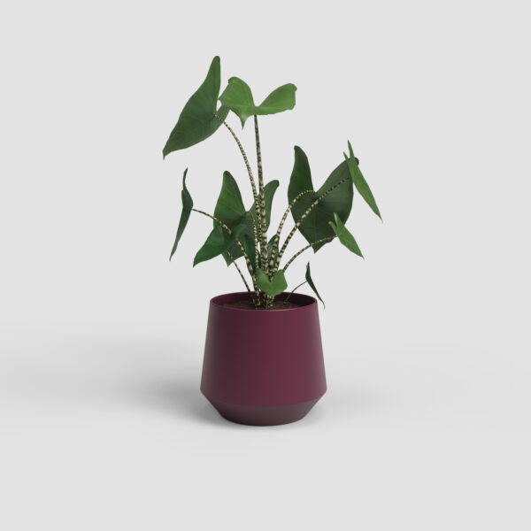 CACHE-POT AURORA - Image 2