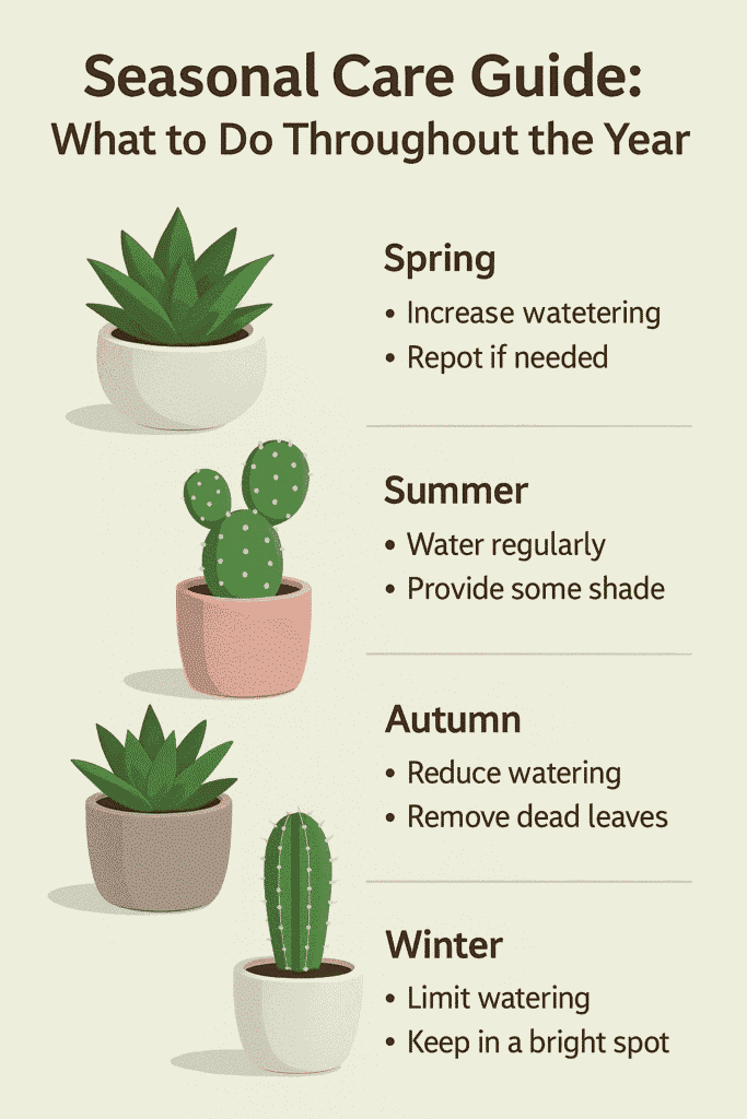 seasonal care guide